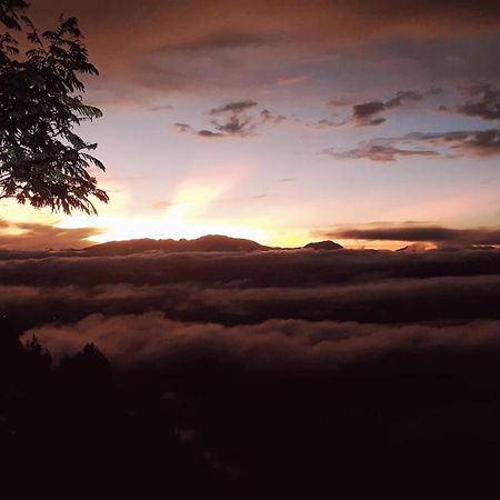 Toraja Manubackpacker Hotell Rantepao Eksteriør bilde