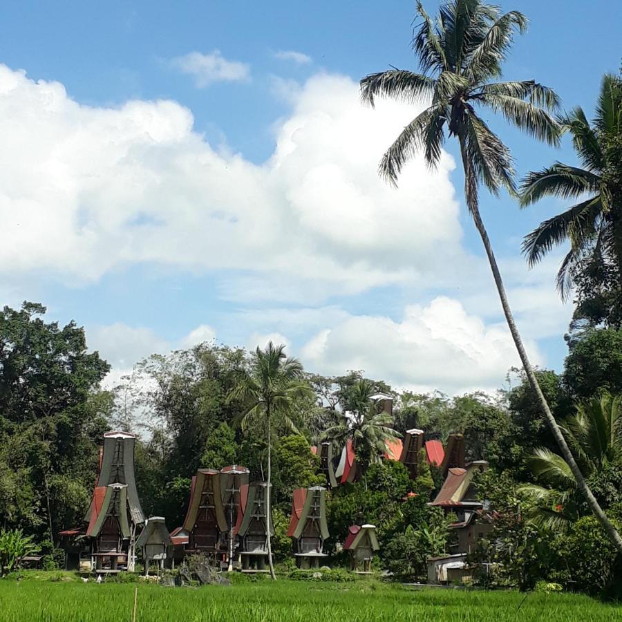 Toraja Manubackpacker Hotell Rantepao Eksteriør bilde